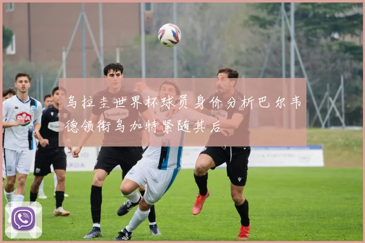 乌拉圭世界杯球员身价分析巴尔韦德领衔乌加特紧随其后
